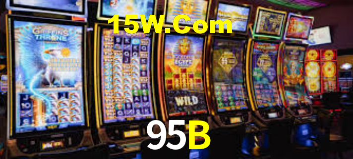 95B - Installation Guide